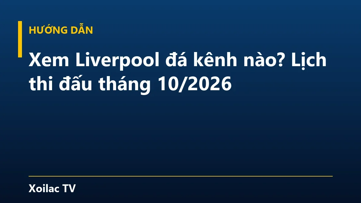Xem Liverpool đá kênh nào? Lịch thi đấu tháng 10/2026